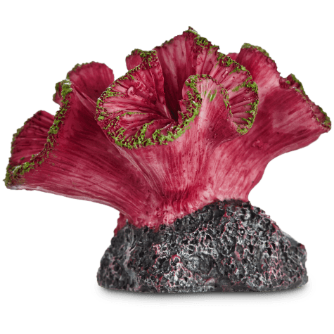 Imagitarium Coral Resin Aquarium Decor In Assorted Styles Small
