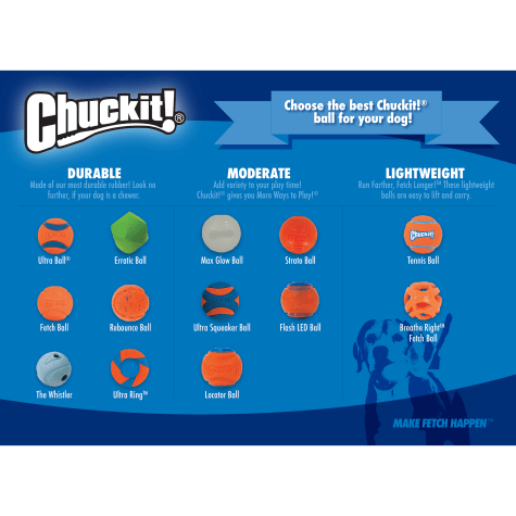 chuckit squeaker ball