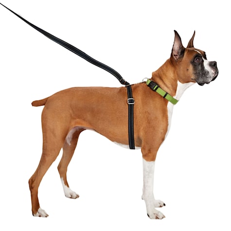 ThunderWorks ThunderLeash Retractable No Pull Solution Dog Leash