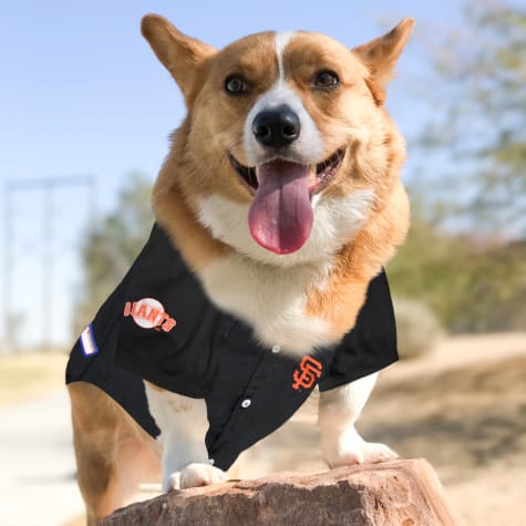 sf giants pet jersey