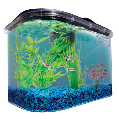Imagitarium Freshwater Aquarium