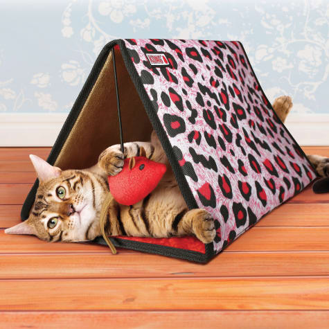 petco cat tent