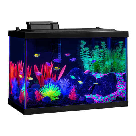 glofish tank accessories