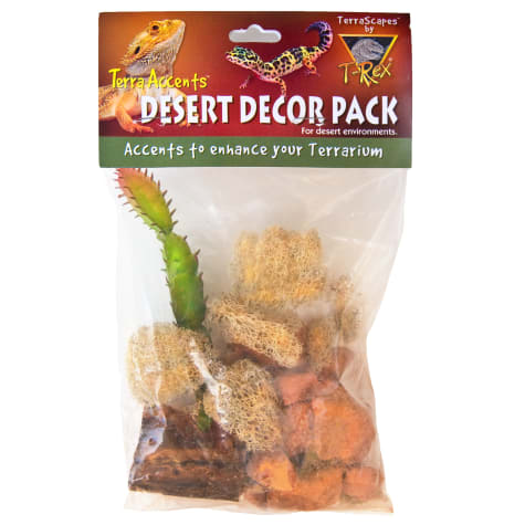 T-Rex Terra Accents Desert Decor Pack
