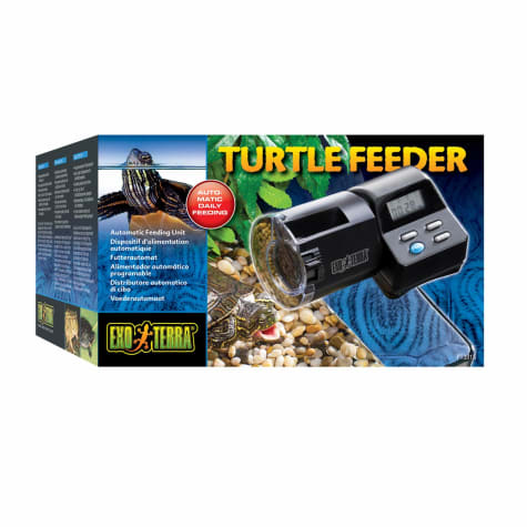 automatic turtle feeder petco
