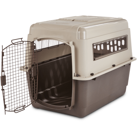 can dogs have vanilla ice cream