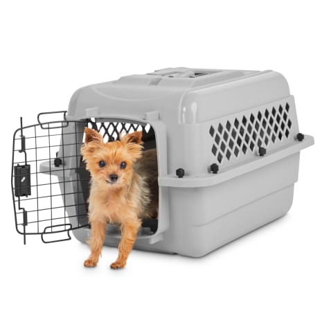 Petco store plastic kennel