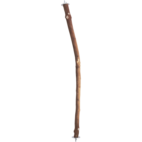 rspca cat vaccinations