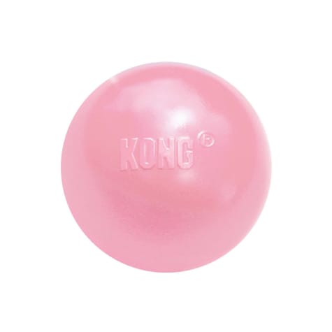 KONG Puppy Ball with Hole Assorted Dog Toy