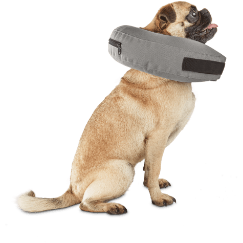 petco blow up collar