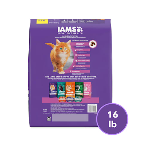 petco iams kitten food