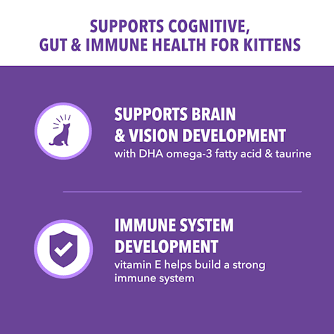 petco iams kitten food