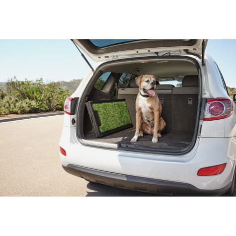 good2go portable pet ramp