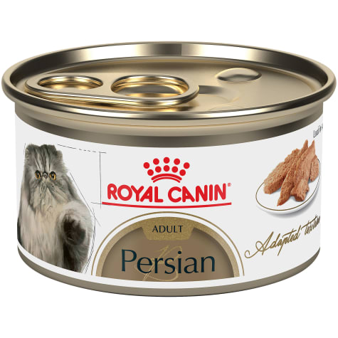 royal canin persian cat