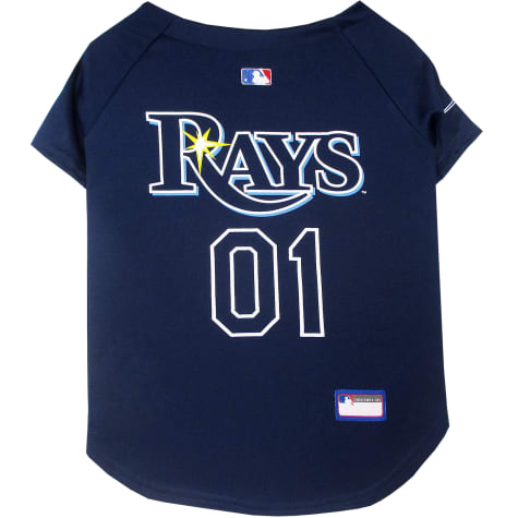 tampa bay rays baby blue jersey