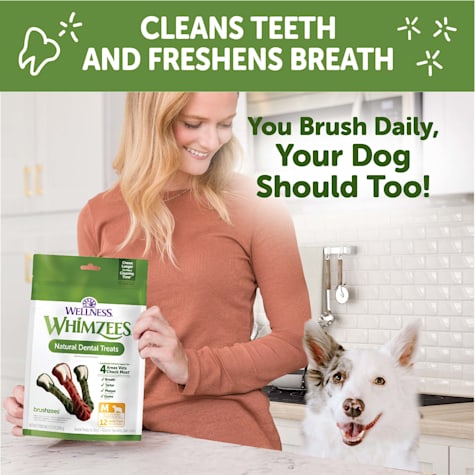 dog toothbrush treats