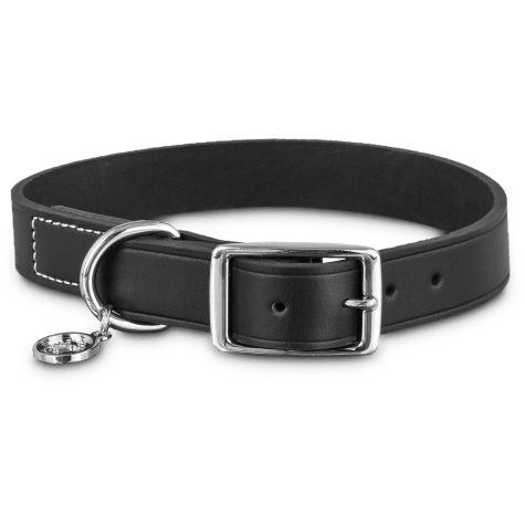 cool leather dog collars