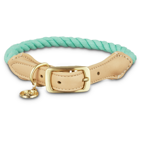 rope dog collar