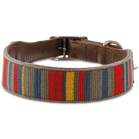 prong dog collar petco