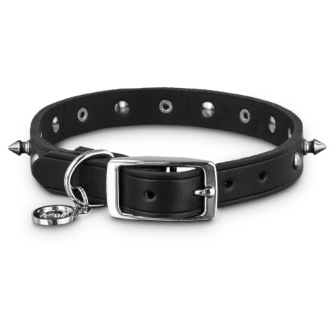 Spiked Dog Collar For Humans