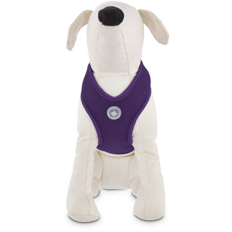 hamster harness petco