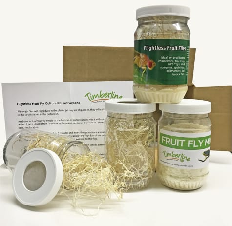 Flightless Fruit Flies Culture Kit - D. melanogaster