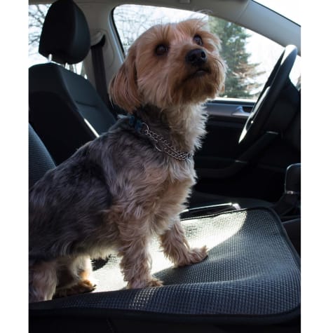 dog car seat covers petstock