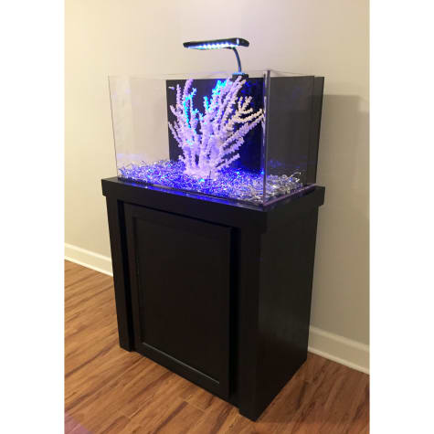 29 gallon aquarium petco
