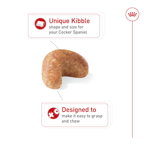 royal canin for cocker spaniels