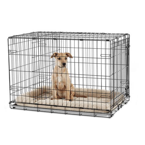 where to buy dog crates near me