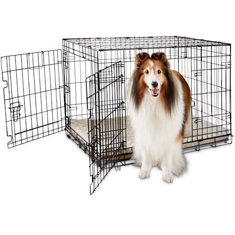 EveryYay Going Places 2-Door Folding Dog Crate