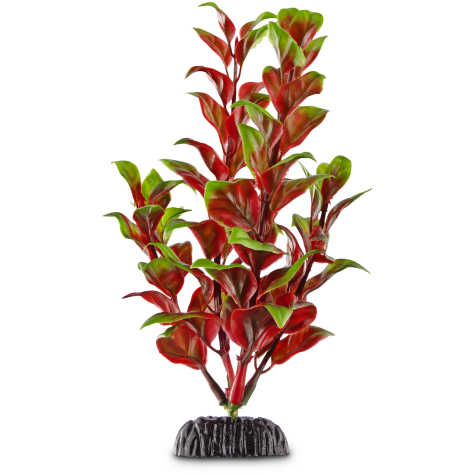 Imagitarium Red & Green Pearl Foreground Aquarium Plant