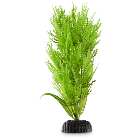 Imagitarium Green Hairgrass Midground Plastic Aquarium Plant