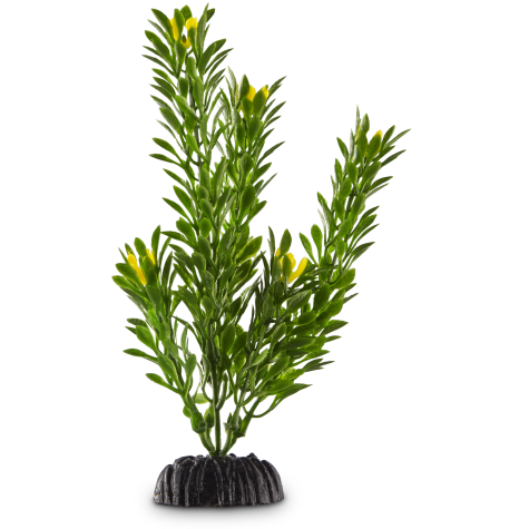 Imagitarium Green Foreground Aquarium Plant