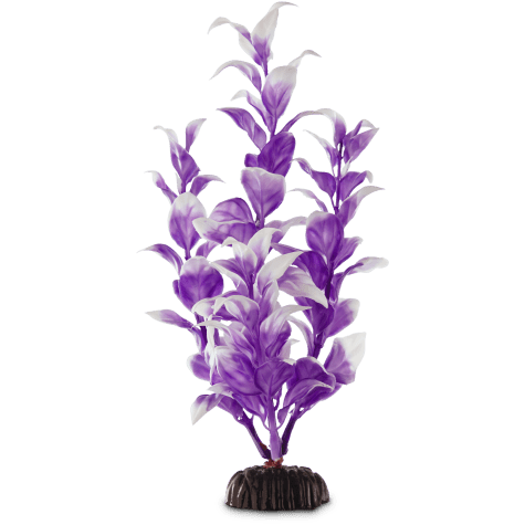 Imagitarium Purple & White Midground Ludwigia Aquarium Plant