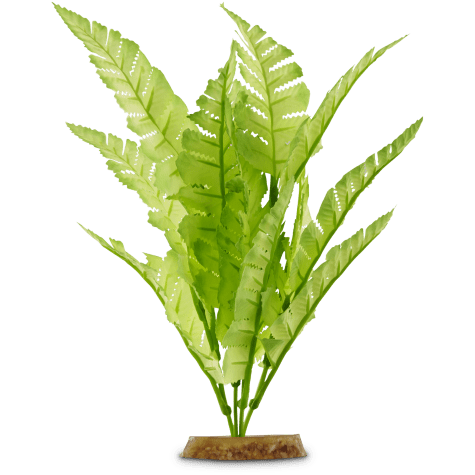 Imagitarium Bright Green Silk Plant