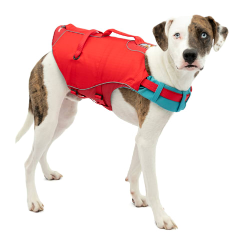 petco life jacket