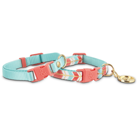 YOULY Turquoise & Coral Collars for Small Dogs