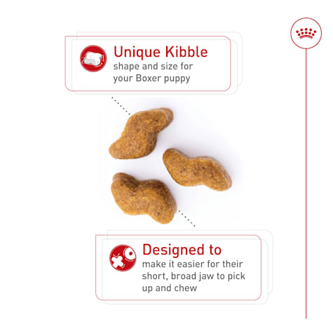 petco royal canin boxer