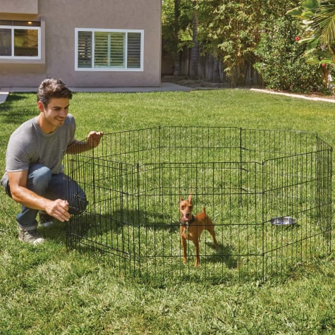 dog exercise pen near me