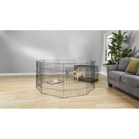 kitten playpen petco