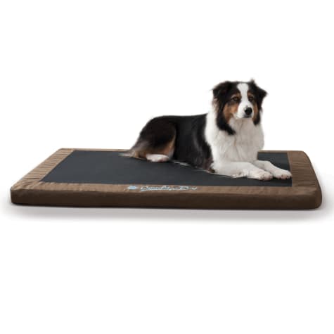comfy dog beds for large dogs