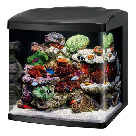 Coralife LED Biocube Aquarium