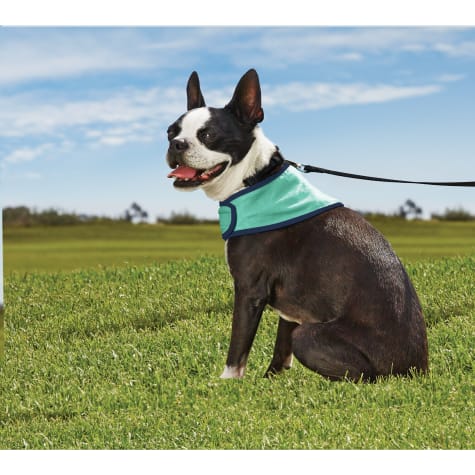 extra large dog bandanas