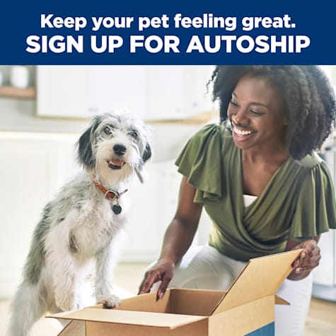 vitality adult dog food