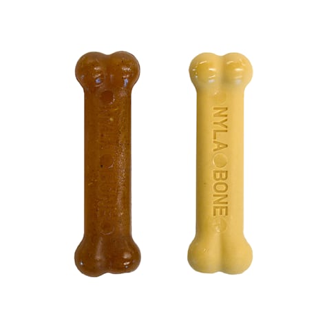 Nylabone Puppy Chew & Dura Chew Peanut Butter Bone Twin Pack Dog Toy