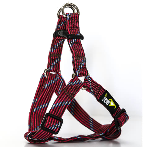 petco step in harness