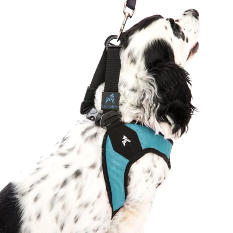 escape proof dog harness petco