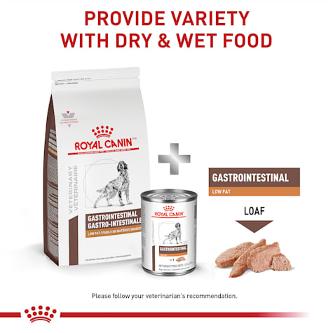 royal canin gastrointestinal low fat petco