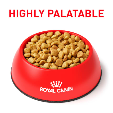 royal canin hydrolyzed protein moderate calorie dog food